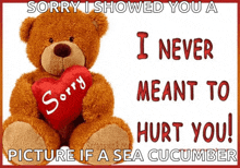 a teddy bear holding a heart that says sorry