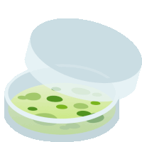 a cartoon illustration of a petri dish with green liquid