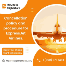 an ad for budget flights fare shows an airplane taking off