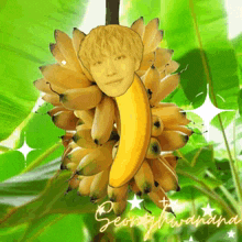 a drawing of a person 's face on a banana with the name seonghwayana on the bottom