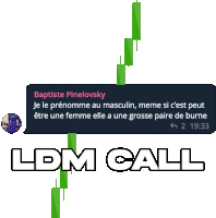 a message from baptiste pinelovsky says " ldm call " at the bottom