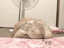 a rabbit is sleeping on a pink blanket with zzz written on the bottom