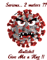 a cartoon of a virus that says " serious 2 meters "