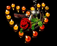 a red rose surrounded by lit candles in the shape of a heart .