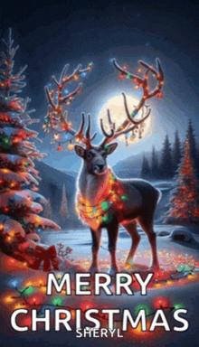 a picture of a deer with christmas lights on its antlers says merry christmas sheryl