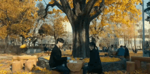 a man and a woman are sitting at a table in a park under a tree with yellow leaves .