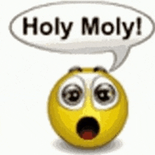 a surprised smiley face with a speech bubble that says holy moly .