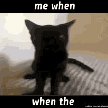 a picture of a black cat with the words me when when the on the bottom