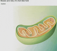 roses are red it 's hot like hell implied with a picture of a cell