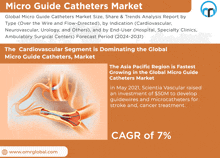 an advertisement for micro guide catheters market shows a picture of a blood vessel