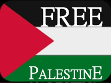 a flag with the words free palestine written below it