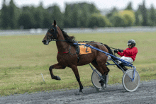 a person riding a horse with the number 2 on the front