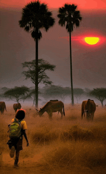 a boy with a backpack walks through a field with elephants and a sunset in the background