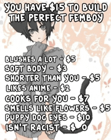 a poster that says you have $ 15 to build the perfect femboy on it