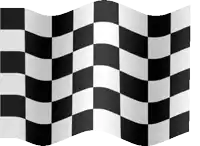 a black and white checkered flag is waving in the wind on a white background