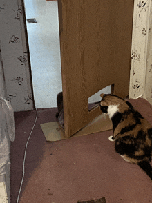 a calico cat sits on a carpet next to a wooden door