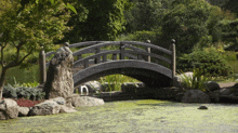 a small bridge over a body of water in a garden