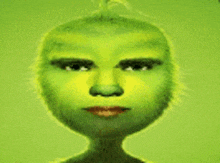 a close up of a cartoon character 's face with a green hairy head .