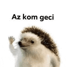 a hedgehog is waving at the camera with the words az kom geci written on it .