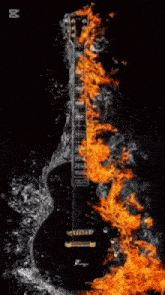 a black guitar with flames coming out of it and the word yakult on the bottom