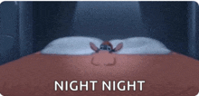 a cartoon character is laying on a bed with the words night night written below it