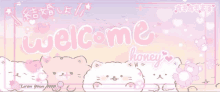 a banner that says welcome honey with cats and teddy bears