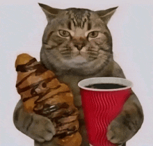 a cat is holding a cup of coffee and a chocolate croissant