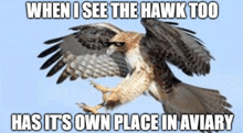 a picture of a hawk wearing sunglasses that says when i see the hawk too