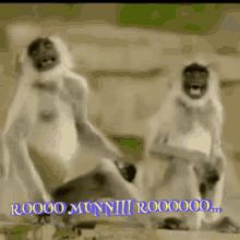 a couple of monkeys sitting next to each other with the words roooo munnii roooo000 written on the bottom