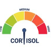 a colorful circle with the words cor iso written on it