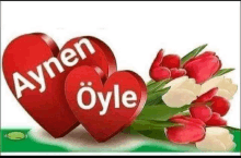 a couple of red hearts with the words aynen eyle written on them next to a bouquet of red and white tulips .