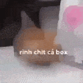 a rabbit is sitting on a table next to a pink balloon and a box .