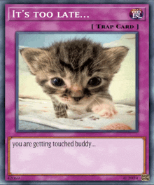 a card that says it 's too late with a picture of a kitten on it