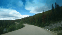 a road with trees on both sides and a blue sky in the background