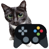 a black and white cat is sitting next to a video game controller