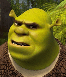 shrek from the movie shrek is looking at the camera with a serious look on his face