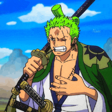 a cartoon of a man with green hair holding a sword with the name nami written below him