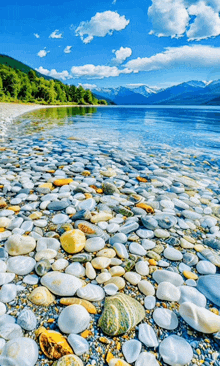 a beach with a lot of rocks and mountains in the background