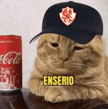 a cat wearing a baseball cap with the word enserio on it