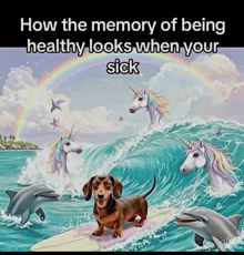 a dachshund on a surfboard with dolphins and unicorns