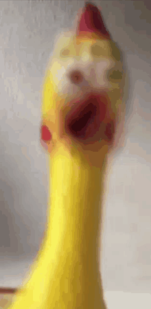 a yellow rubber chicken with a red hat on it 's head