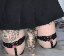 a woman with a tattoo on her leg is kneeling down next to a kitten wearing garters