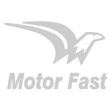 a logo for motor fast with an eagle and the words motor fast below it