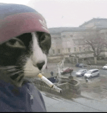 a cat is smoking a cigarette while wearing a adidas hat