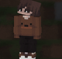 a minecraft character wearing a brown sweater and black pants