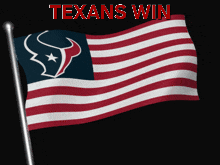 a flag with a bull on it and the word texans win above it