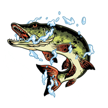 an illustration of a pike jumping out of the water with its mouth open