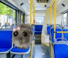 a hamster with a pink bow on its head is sitting in a bus