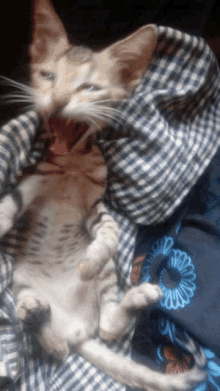 a cat with its mouth open laying on a plaid shirt