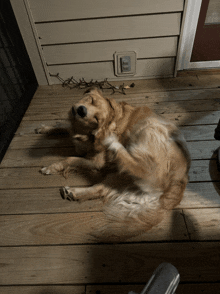 a dog is scratching on a wooden deck in front of a house